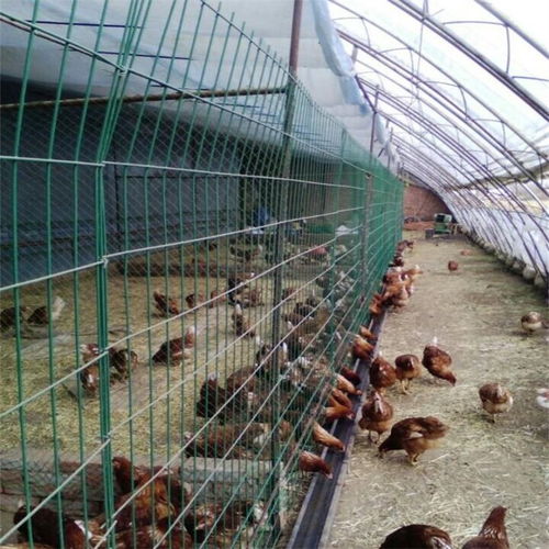【养殖围栏网A家禽养殖围栏网A合肥养殖围栏网厂】- 